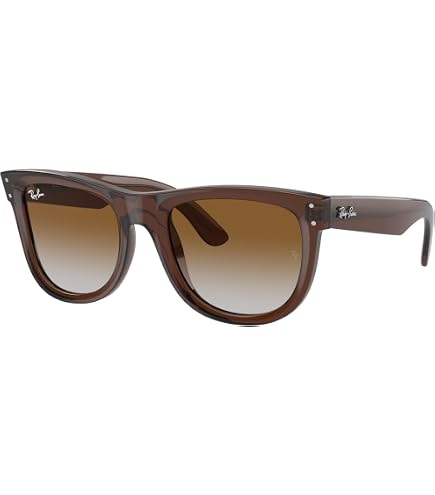 Amazon.com: Ray-Ban RBR0502S Wayfarer Reverse Sunglasses